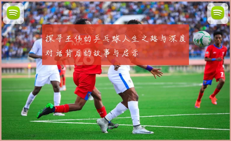 探寻王伟的乒乓球人生之路与深度对话背后的故事与启示