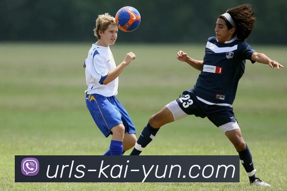 开云APP 高清赛事图